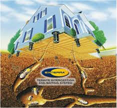 Termite foaming